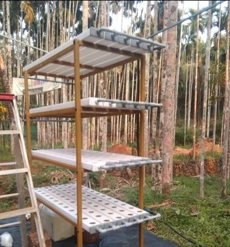 Domestic Hydroponics Kit