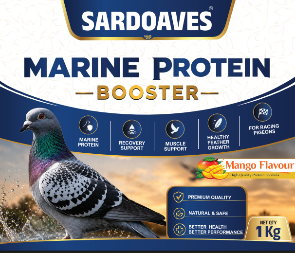 Genesisomega Sardoaves Marine Protein Booster For Avian 1kg
