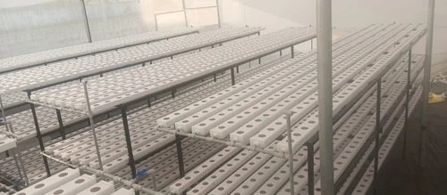 Hydroponic System