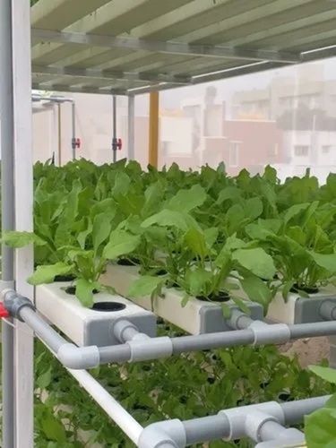 Rectangular Hydroponic System