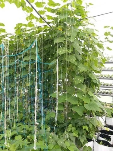 Soil Less Farming Services