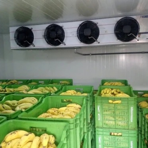 5mt Vegetable Cold Storage