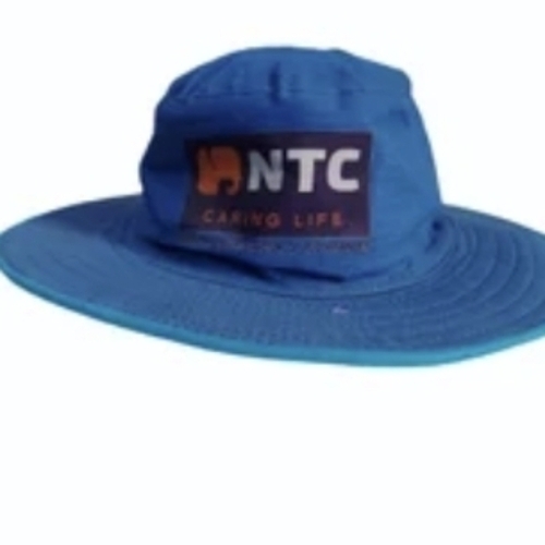 Blue Polyester Cap