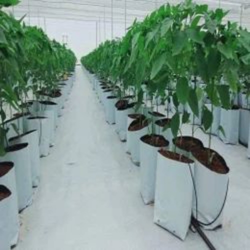 HDPE Coca Grow Bags