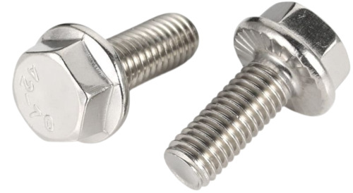 Ss Flange Screw