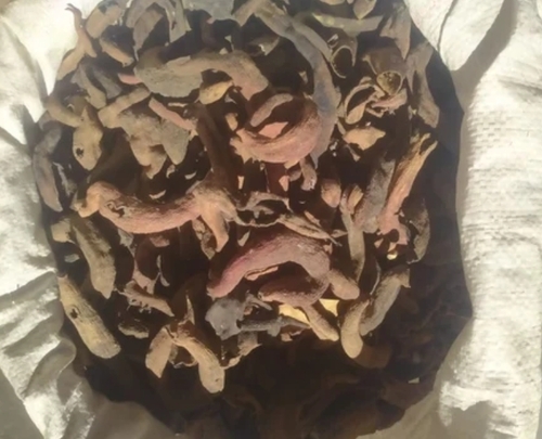 Brown Dried Kakra Singhi (Ayurvedic Herbs)