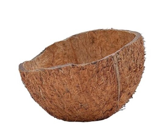 Coconut Shells