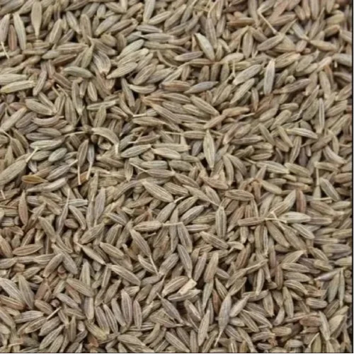 Cumin Seed