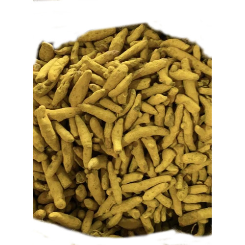 Dried Turmeric Finger