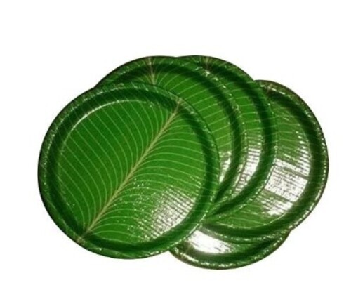Green Areca Leaf Plate