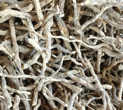 Gudbach Jadd Powder Sweet Flag Root (Ayurvedic Herbs)