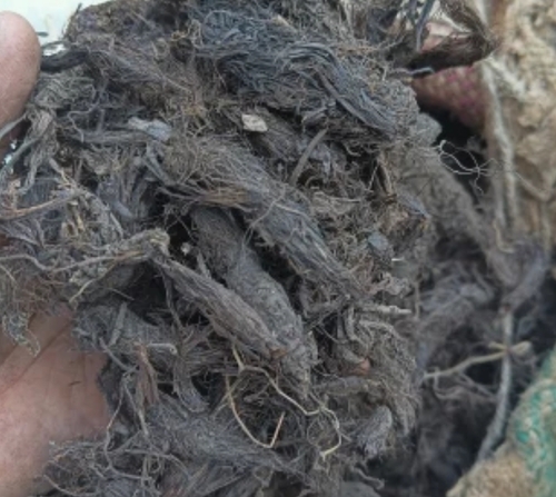 Jatamansi Root