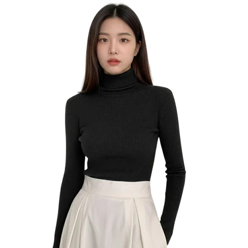 Ladies Turtleneck Top