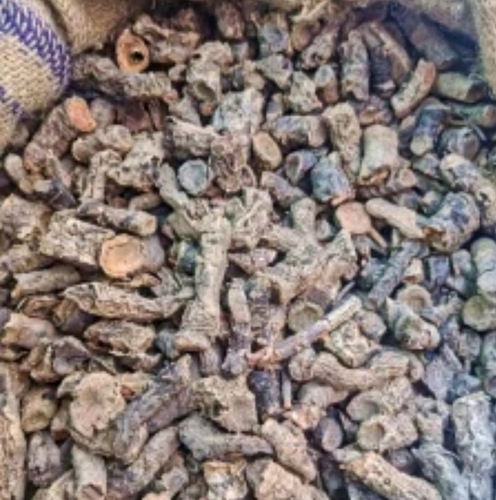 Pakhanved Jadd Pashan Bhed Root Aquatic Rotula Bergenia Ligulata (Ayurvedic Herbs)