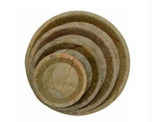 Sal Leaf Plates