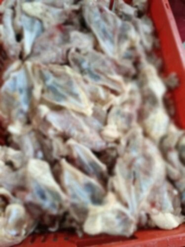 Frozen Chicken Janatha