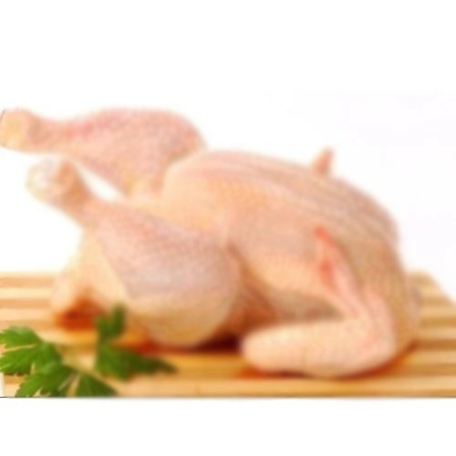 Frozen Halal Whole Chicken