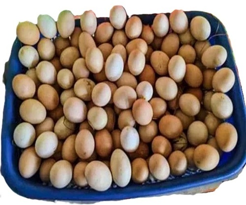 Pure Desi Chicken Egg