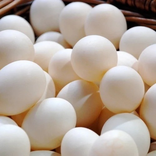 White Broiler Egg
