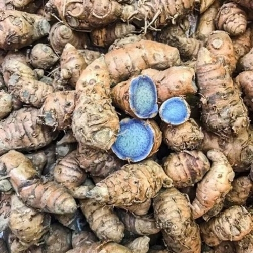 Black Turmeric Seeds