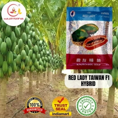 F1 Hybrid Papaya Seeds