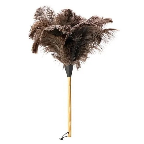 Feather Duster