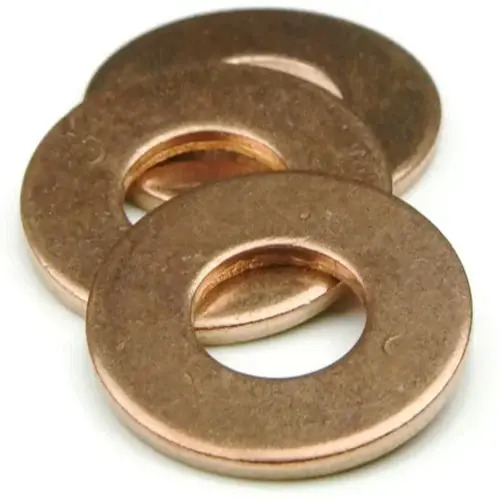 Polished Brass Washer