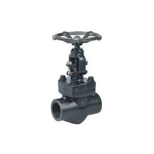 Black Forged Steel Valve