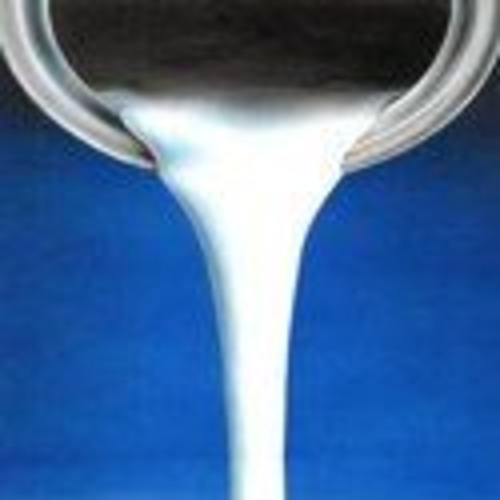 Epoxy Zinc Rich Primer