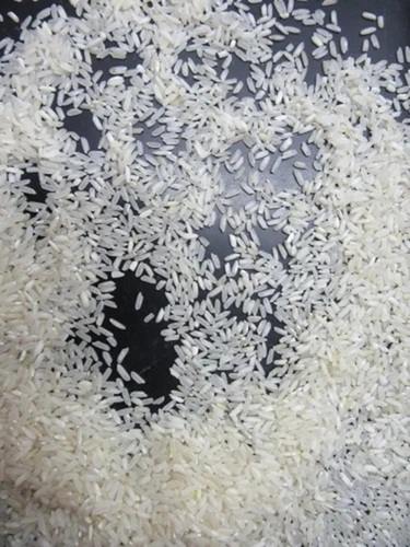 Broken Rice By Vi Exports India Private Limited