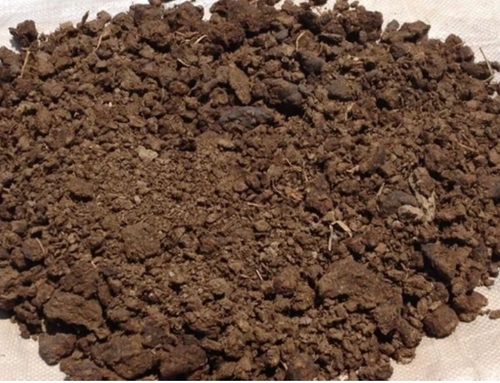 Cow Dung