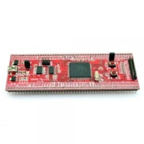 Development Board