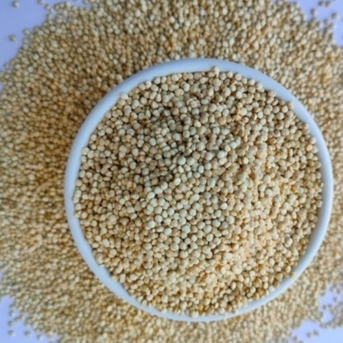 White Bold Quinoa