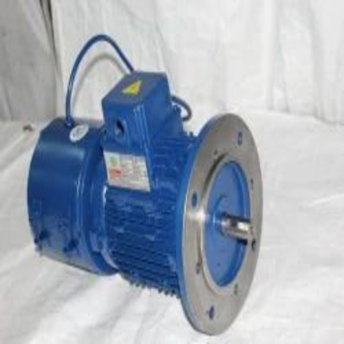 01 Ss Crane Duty Motor