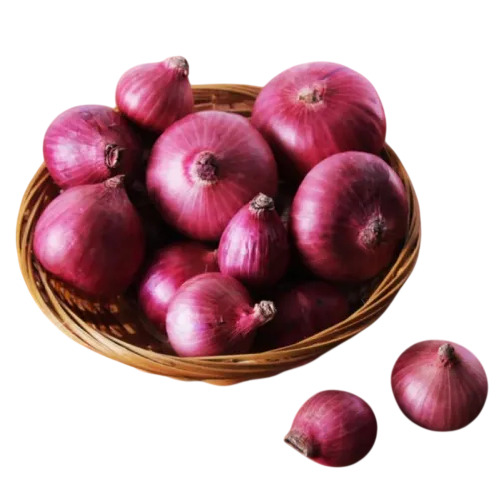 Fresh Red Onion