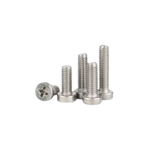Ms Phillips Cheese Head Screw