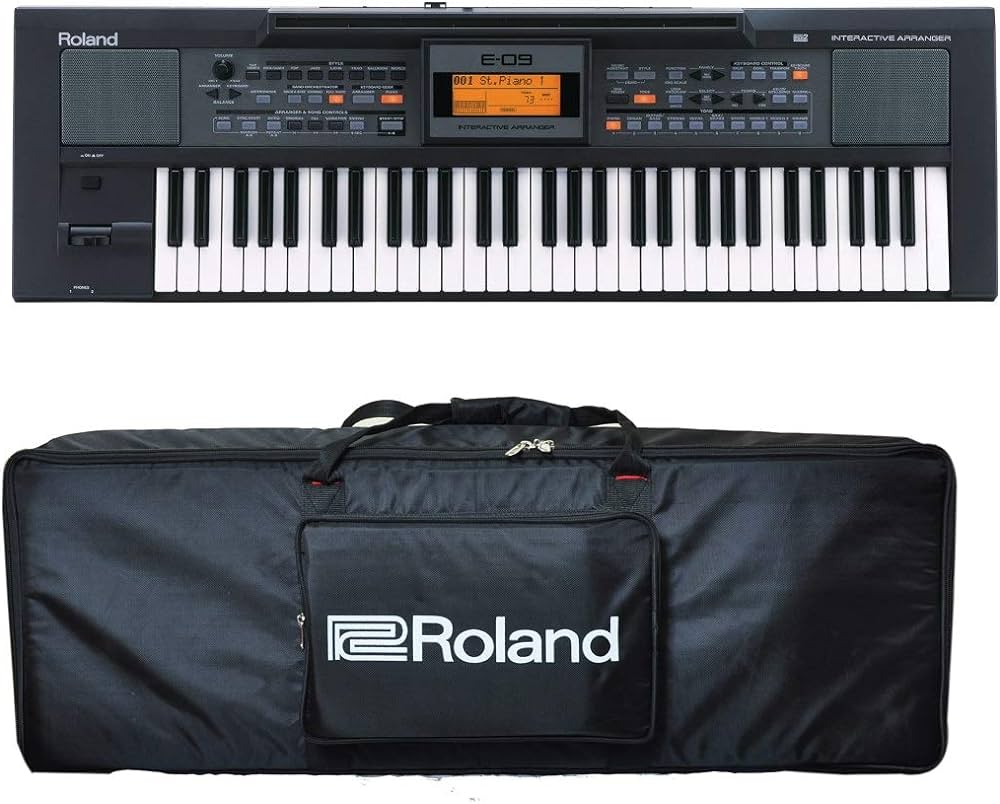 Roland E09In 61 Keys Digital Arranger Keyboard - Application: Concert
