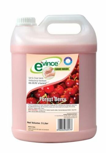 5 L Evince Antibacterial Liquid Hand Wash