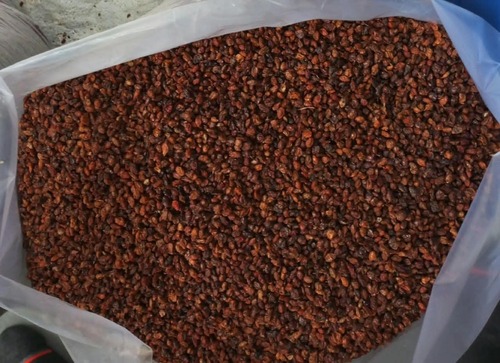 Sea Buckthorn Dried Berries