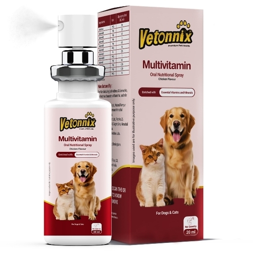 Dog Medicine