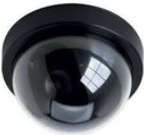 Digital Dome Camera