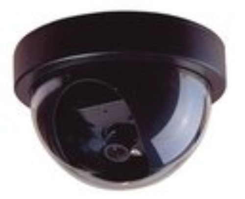 Dome Shaped Camera