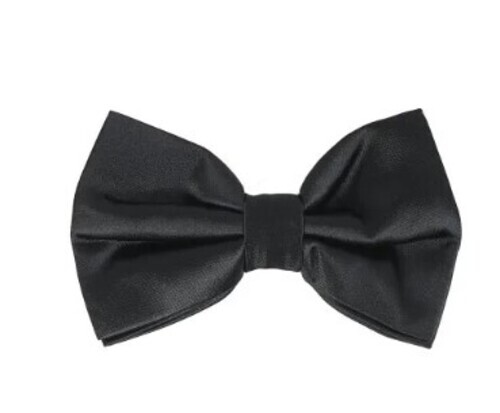 Mens Bow Tie