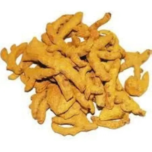 Dried Turmeric Finger