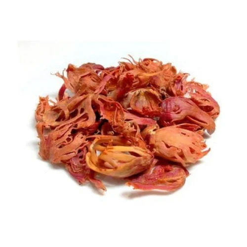 Mace Javitri