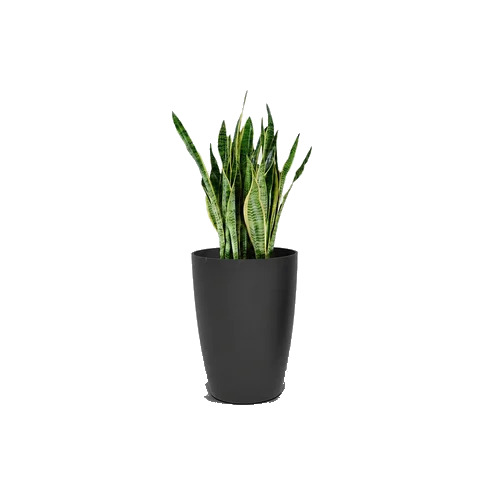 1410 Inch Shera Stella Tall Grey Plastic Flower Pot