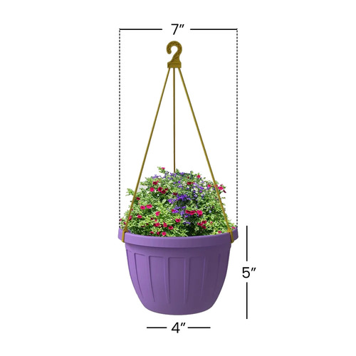 7 Inch Shera Jade Lavender Hanging Planter
