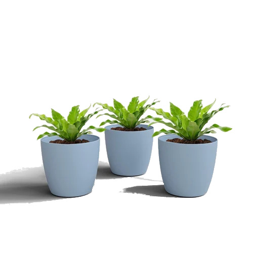8 Inch Stella Cyan Small Flower Pot