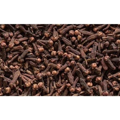 Black Cloves