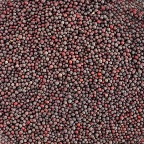 Black Mustard Seed